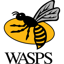 Wasps Rugby